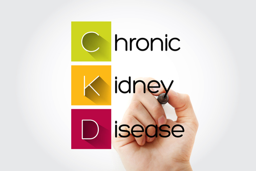 CKD・慢性腎臓病　医師解説