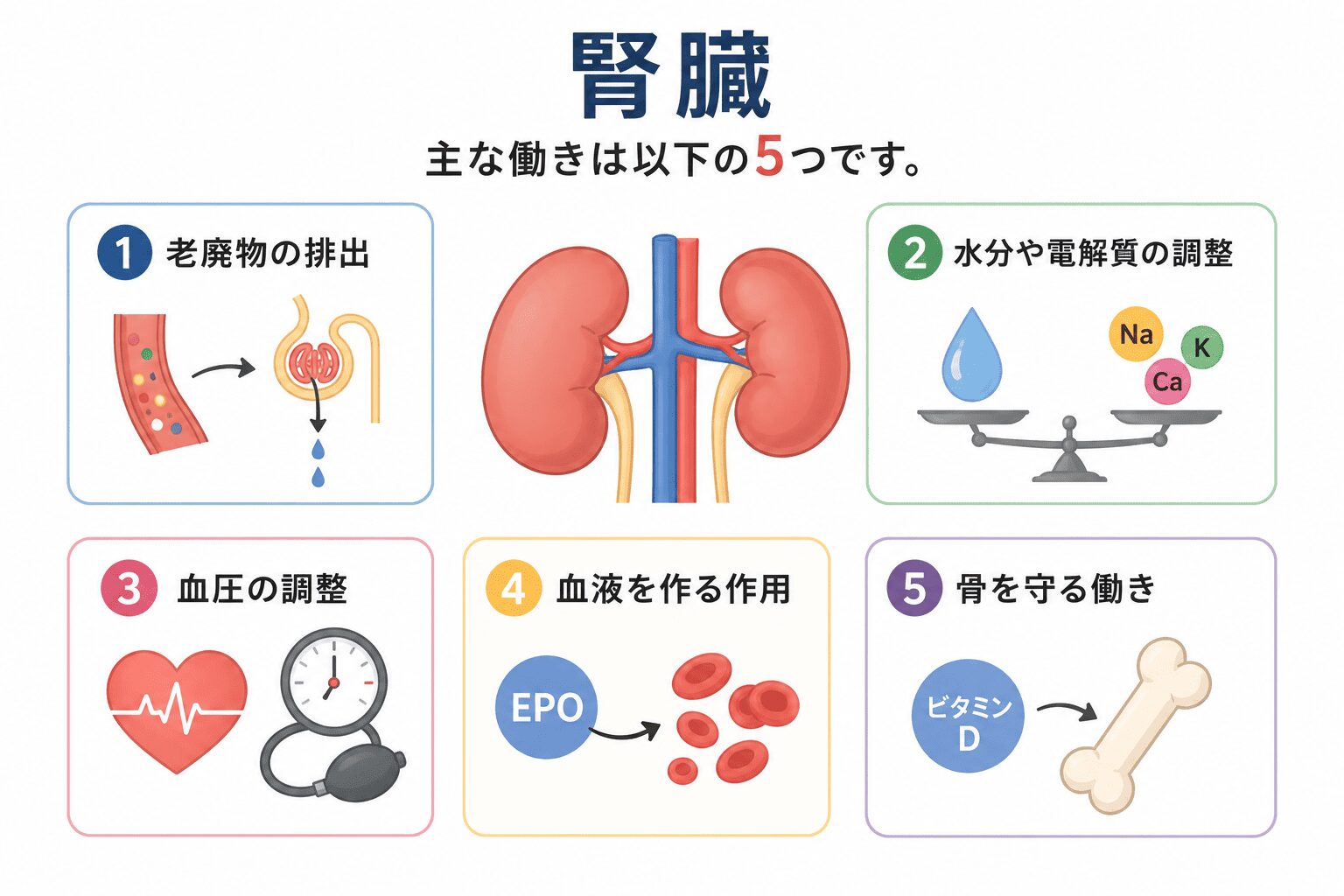 高血圧と腎臓病の関係|腎臓を守るために血圧管理が大切な理由 2 ChatGPT Image 2026年6月16日 11 05 48 2
