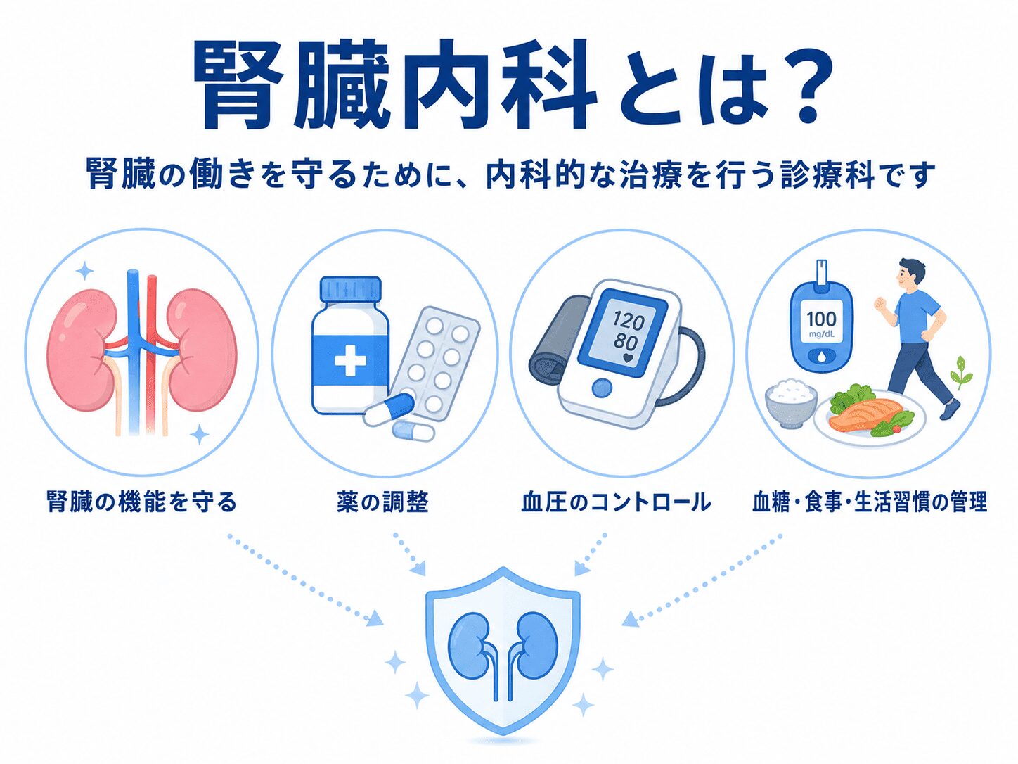 【調布の腎臓内科が解説】腎臓内科と泌尿器科の違いとは?症状別の受診ガイド 1 腎臓内科とは?