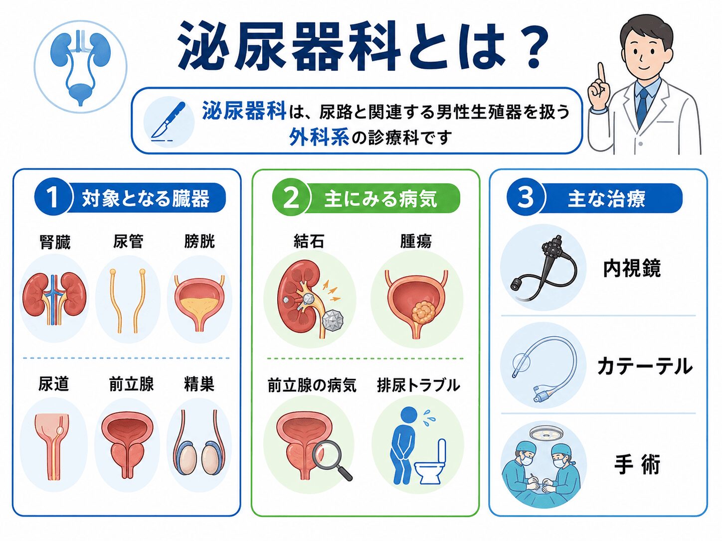 【調布の腎臓内科が解説】腎臓内科と泌尿器科の違いとは?症状別の受診ガイド 2 泌尿器科とは?