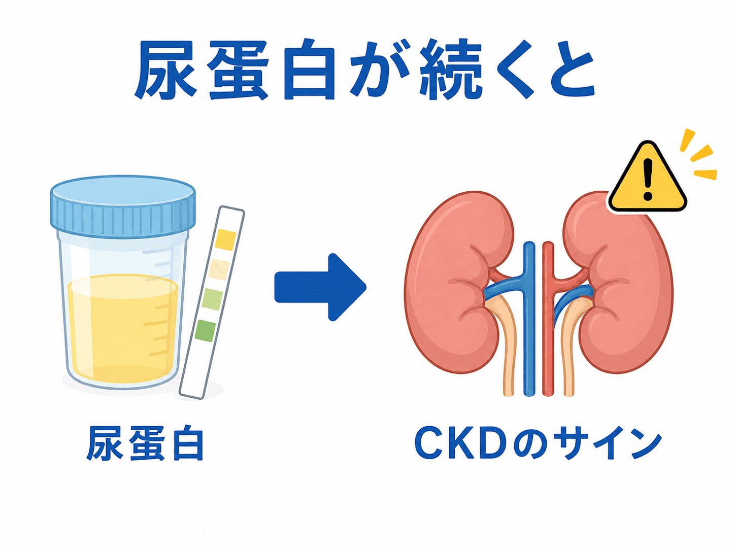 【調布で腎臓内科をお探しの方へ】健診で尿蛋白を指摘されたら 3 尿蛋白が持続している場合は、慢性腎臓病(CKD)の重要なサイン
