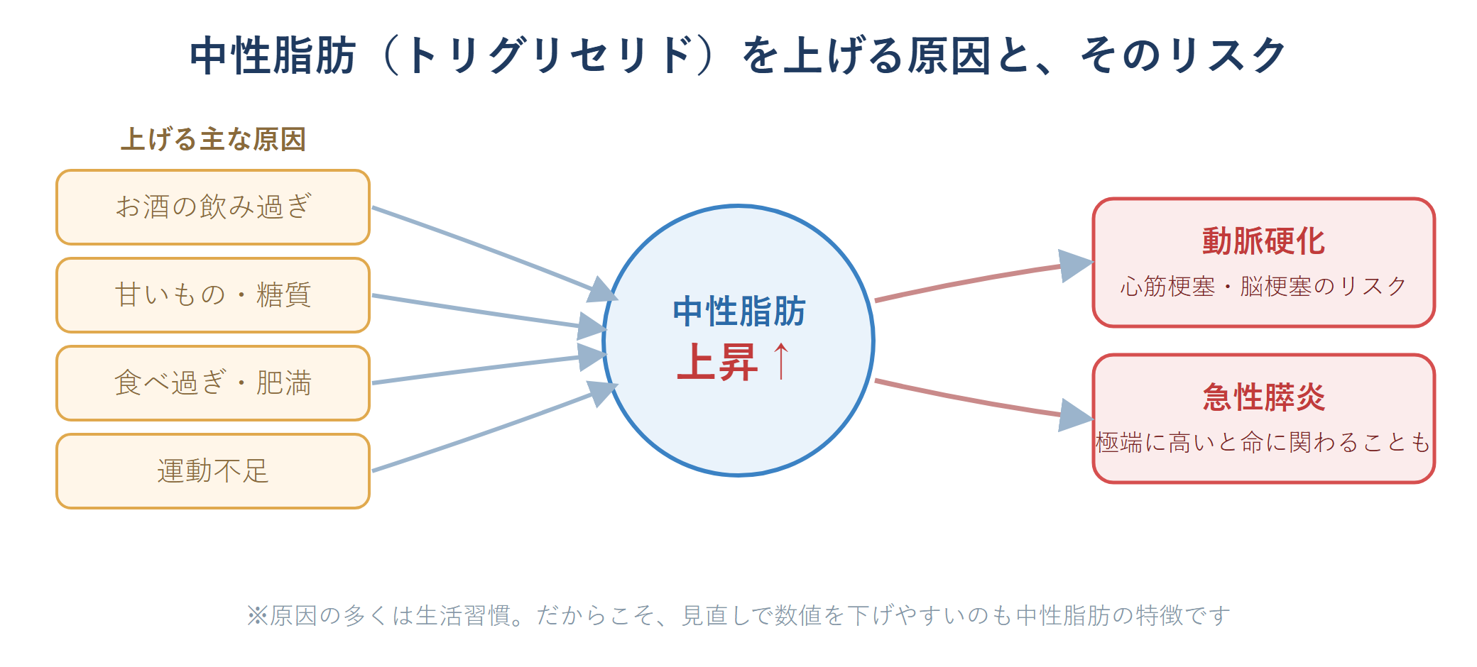 見落とされがちな「中性脂肪」―― コレステロールだけではない脂質異常症 1 生活習慣が中性脂肪を上げ、動脈硬化や急性膵炎のリスクにつながることを示す図