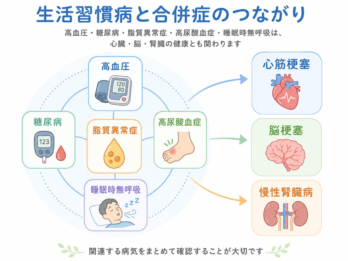 調布市・つつじヶ丘の内科|健診の異常と生活習慣病のかかりつけ医 2 生活習慣病と合併症の関連図(高血圧・糖尿病・脂質異常症・高尿酸血症・睡眠時無呼吸と、心筋梗塞・脳梗塞・慢性腎臓病のつながり)