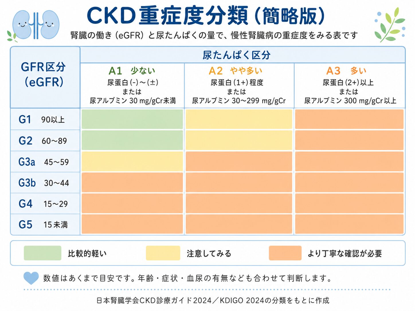 健康診断で異常を指摘されたら|判定の意味・急ぐサイン・再検査の受け方 5 腎臓の働きと尿蛋白の量から慢性腎臓病の重症度を分類した表の簡略図
